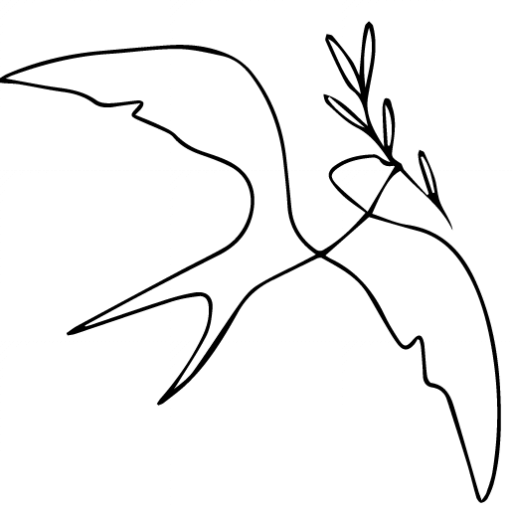 Seeds & Feathers logo